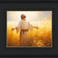 Send Forth Laborers