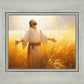 Send Forth Laborers