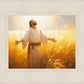 Send Forth Laborers