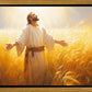 Send Forth Laborers
