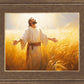 Send Forth Laborers