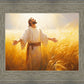 Send Forth Laborers