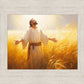 Send Forth Laborers