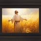 Send Forth Laborers