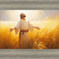 Send Forth Laborers