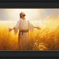 Send Forth Laborers