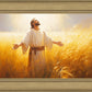 Send Forth Laborers