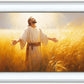 Send Forth Laborers