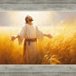 Send Forth Laborers