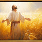 Send Forth Laborers