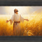 Send Forth Laborers