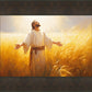 Send Forth Laborers