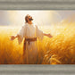 Send Forth Laborers