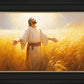 Send Forth Laborers