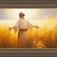 Send Forth Laborers