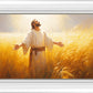 Send Forth Laborers