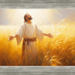 Send Forth Laborers