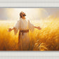 Send Forth Laborers