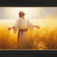Send Forth Laborers