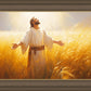 Send Forth Laborers