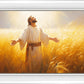Send Forth Laborers