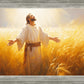 Send Forth Laborers