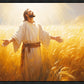 Send Forth Laborers