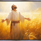 Send Forth Laborers