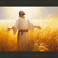 Send Forth Laborers