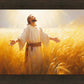 Send Forth Laborers
