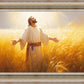 Send Forth Laborers