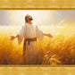 Send Forth Laborers