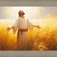 Send Forth Laborers