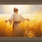 Send Forth Laborers