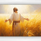 Send Forth Laborers