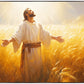 Send Forth Laborers