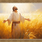 Send Forth Laborers