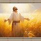 Send Forth Laborers