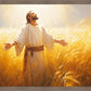 Send Forth Laborers