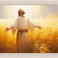 Send Forth Laborers