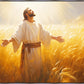 Send Forth Laborers