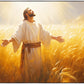 Send Forth Laborers