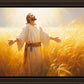 Send Forth Laborers