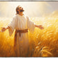 Send Forth Laborers