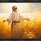 Send Forth Laborers