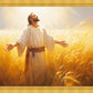 Send Forth Laborers