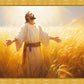 Send Forth Laborers