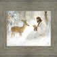 Winter Friend