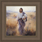 The Journey Home