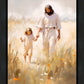 Peace in Christ